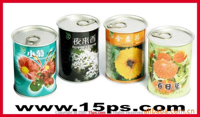 易拉罐魔豆,情侣魔豆,魔蛋,盆景,天使花房,J2