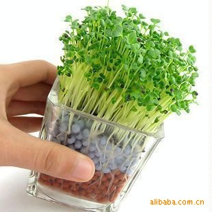 ֲ̼칫