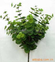 仿真植物,仿真花,尤加利叶