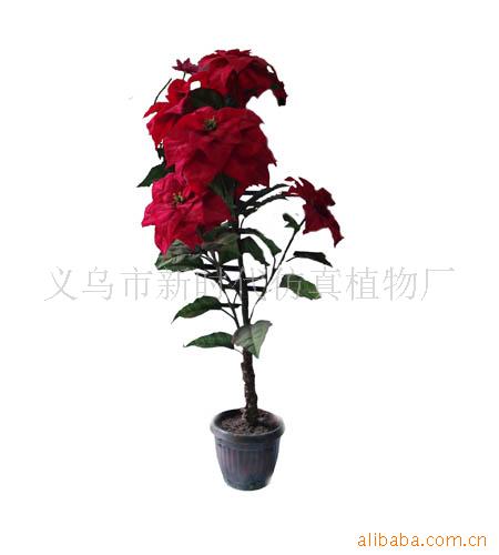 滨