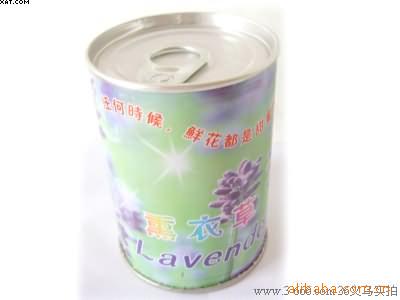 工艺品,园艺DIY,diy园艺,神气易拉罐熏
