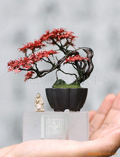 辰