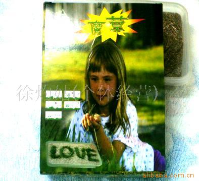 批发魔草,新奇特小商品