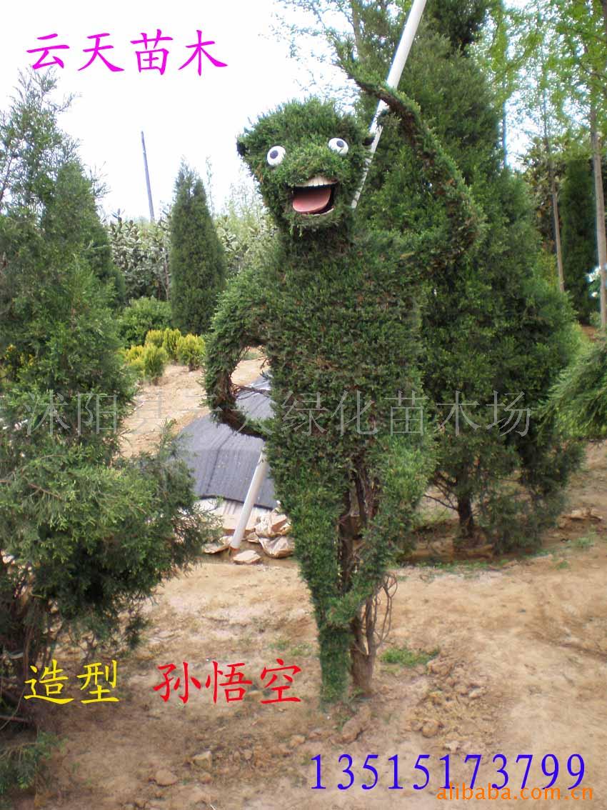 辰辰辰