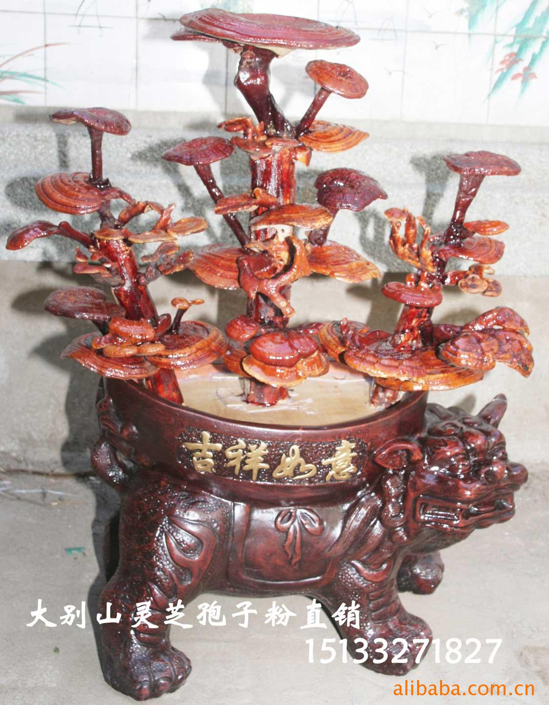 ڹ֥辰ʨӡ⣩