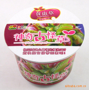 ΢辰ܹС΢辰С԰