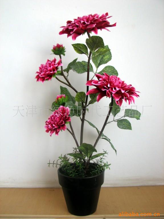 ַ滨辰