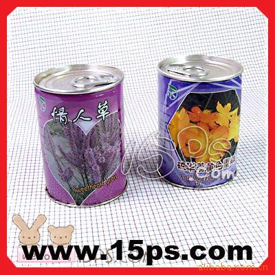 易拉罐魔豆,情侣魔豆,魔蛋,盆景,天使花房,C5