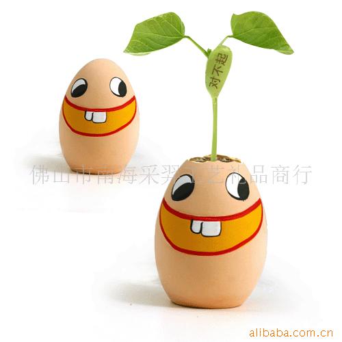 批发魔蛋魔豆,天使花房手指玫瑰