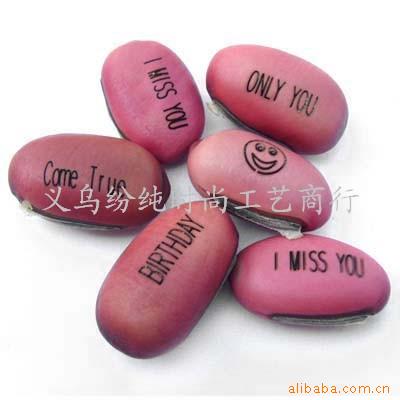 批发外贸全英围豆魔豆,园艺礼品,学生赠品