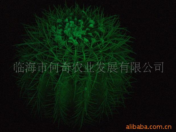 辰