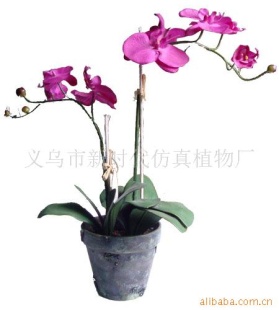 滨