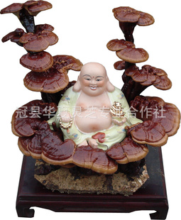 ֱƷ֥辰