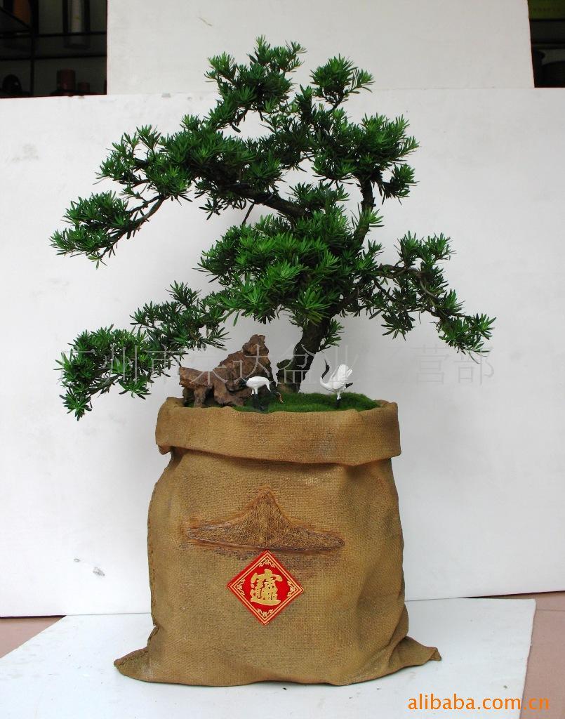 批发树脂仿木花盆罗汉松盆景