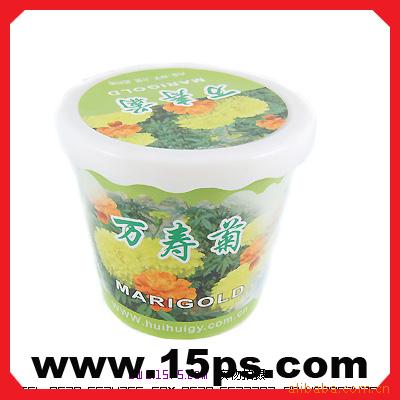 易拉罐魔豆,情侣魔豆,魔蛋,盆景,天使花房,C8