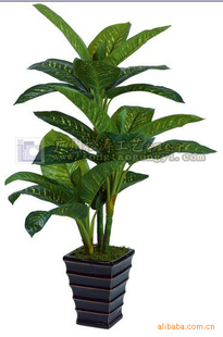 高质量仿真植物,仿真大树,仿真盆景优质仿真万年青(图)