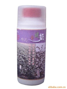 Ҷ޻ҺҶ---޻潡
