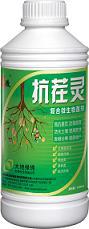 飨ز硢桢