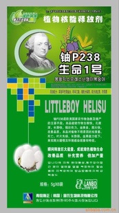 Ҷ——P2381