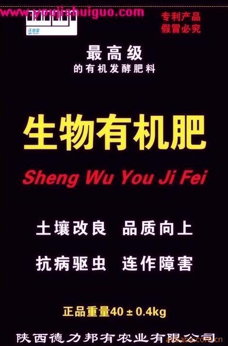 ֻݽлʣл̬