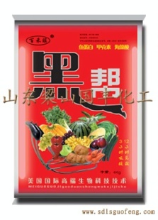 ڸװʩʺڰ