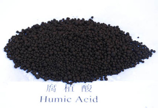 䴨ظֲ