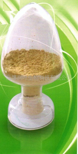 DTPA-Fe-11ϩΣ