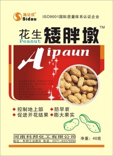 ڼ˥Ҷ