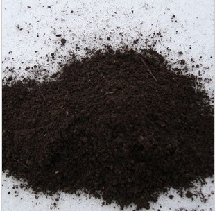 Ӫ