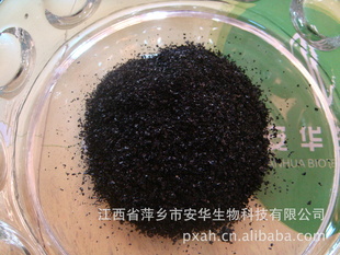 踯ֲֲƣ