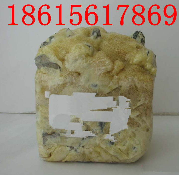 ²Ʒɽˮӹ̼ˮӹ̼