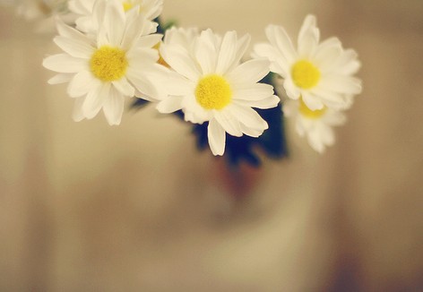 MCH-YTӲͦ