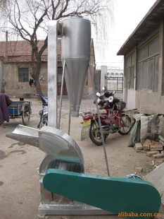 豸ֱ