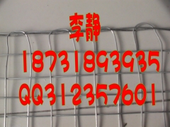 矿用锚网机经纬网机矿用编织网机李静