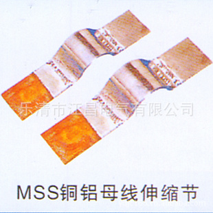MSS-100*10ͭ15858819912