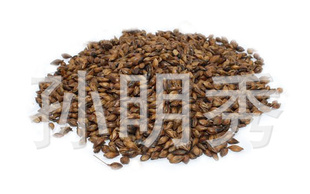 ڼ決軨ݲպζ