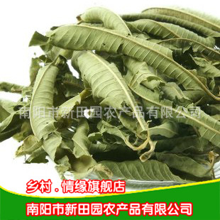 ؼ޲趫ոѩؼ