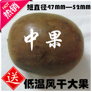 ѡ*޺йֱ47-52MMֱԱ