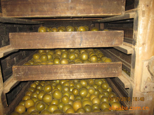 ڹ޺йУ