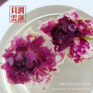 õ廨õ廨õ廨ٱԺ40
