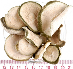 Τһݲ2011ʹݲ