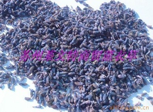 2011²½޹²ݸɻԲ
