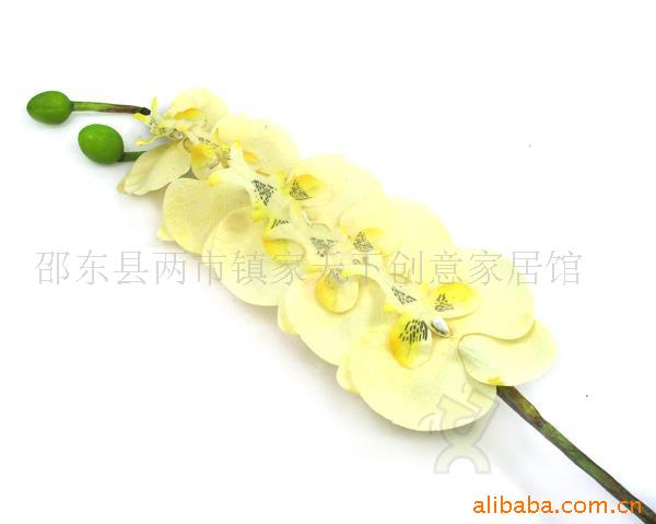 52ٵź,滨,Ҿ,