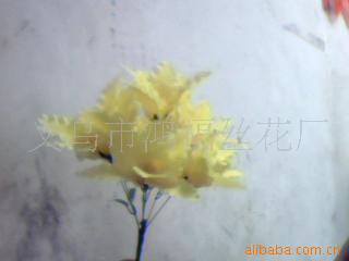 滨