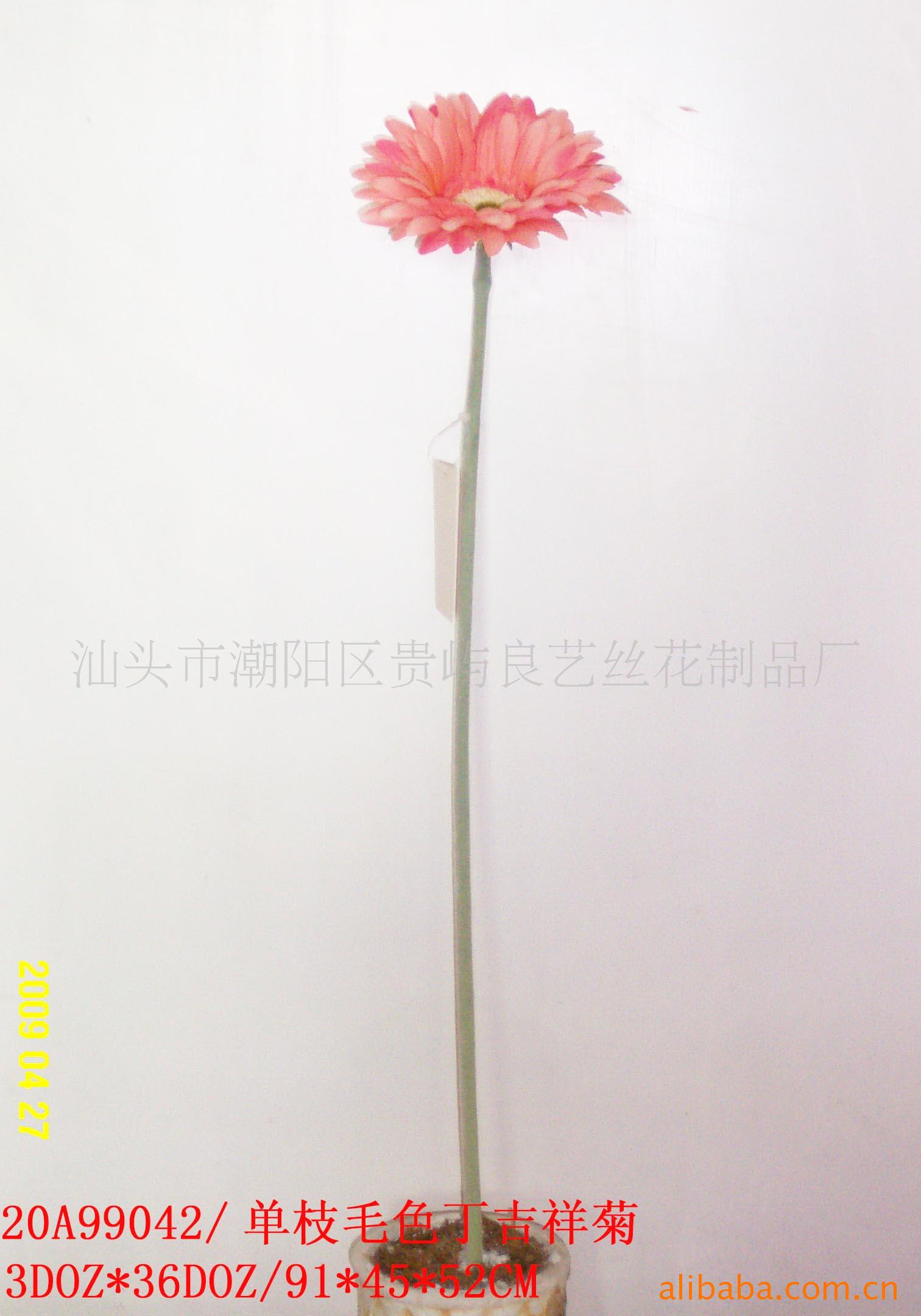 -֧ë