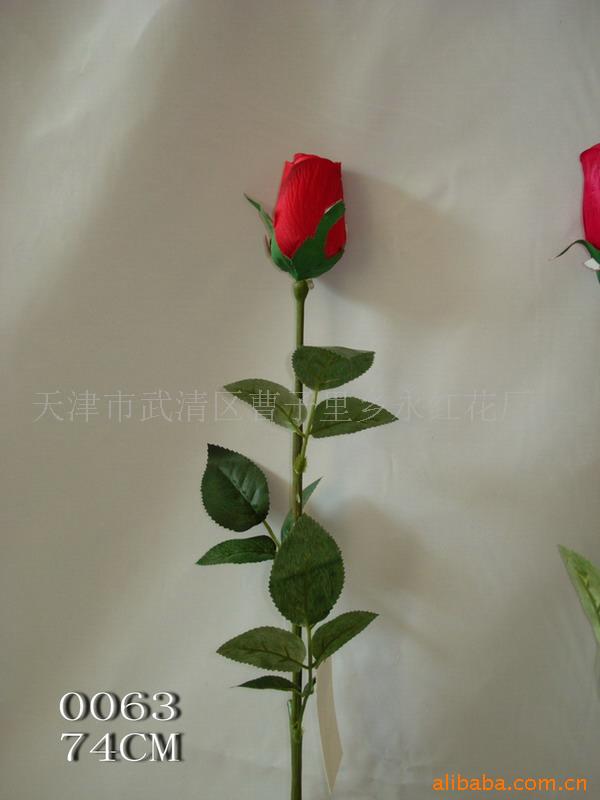 컨滨õ