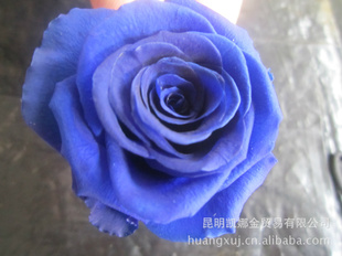 óʻPreservedFlowers