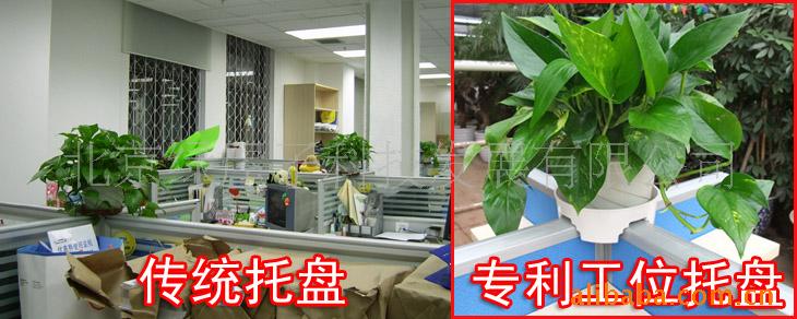 λ衢ܵ