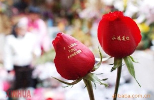 批发七情人节鲜花鲜花批发玫瑰批发惠中