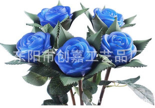 Ϧлõ廨õ壩رɹָ5